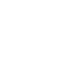 INCOGNIC Logo